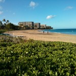 Hyatt Regency Maui Reviews | Ka'anapali Beach