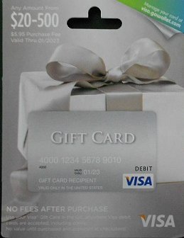 500 Visa Gift Cards