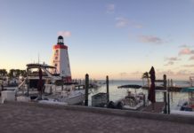 Chase Sapphire Reserve Credit Card Review – A Premium Card With Many Perks boats docked at a dock