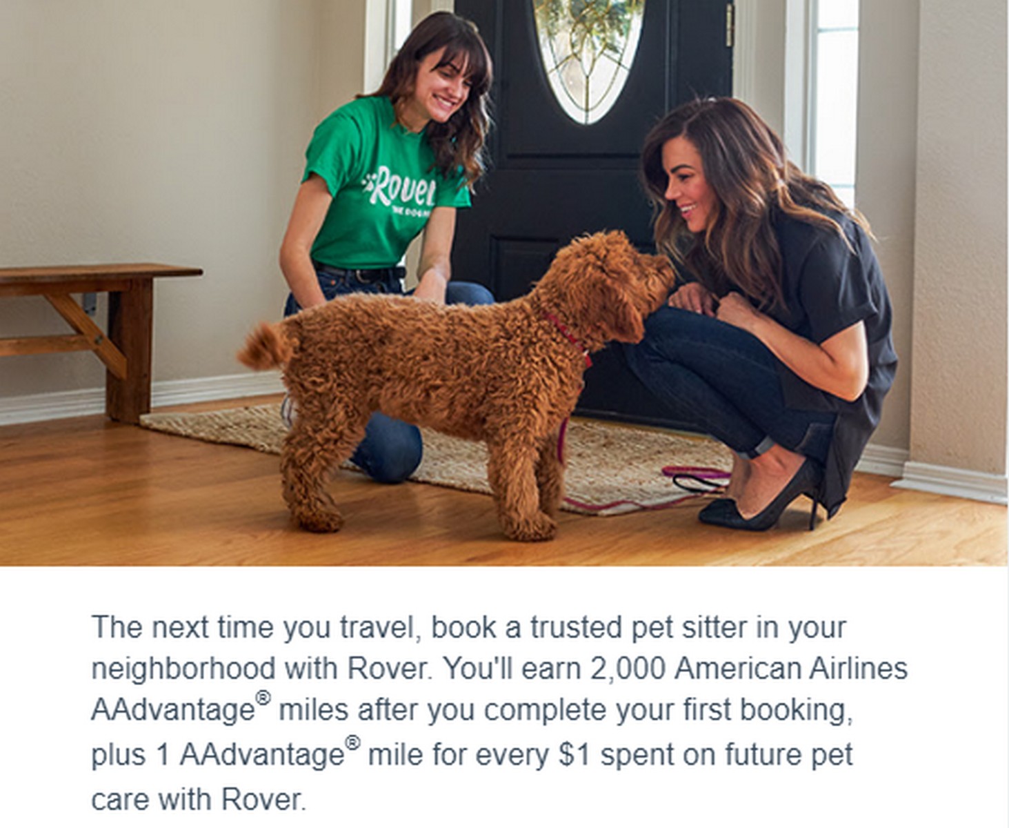 american airlines pet booking