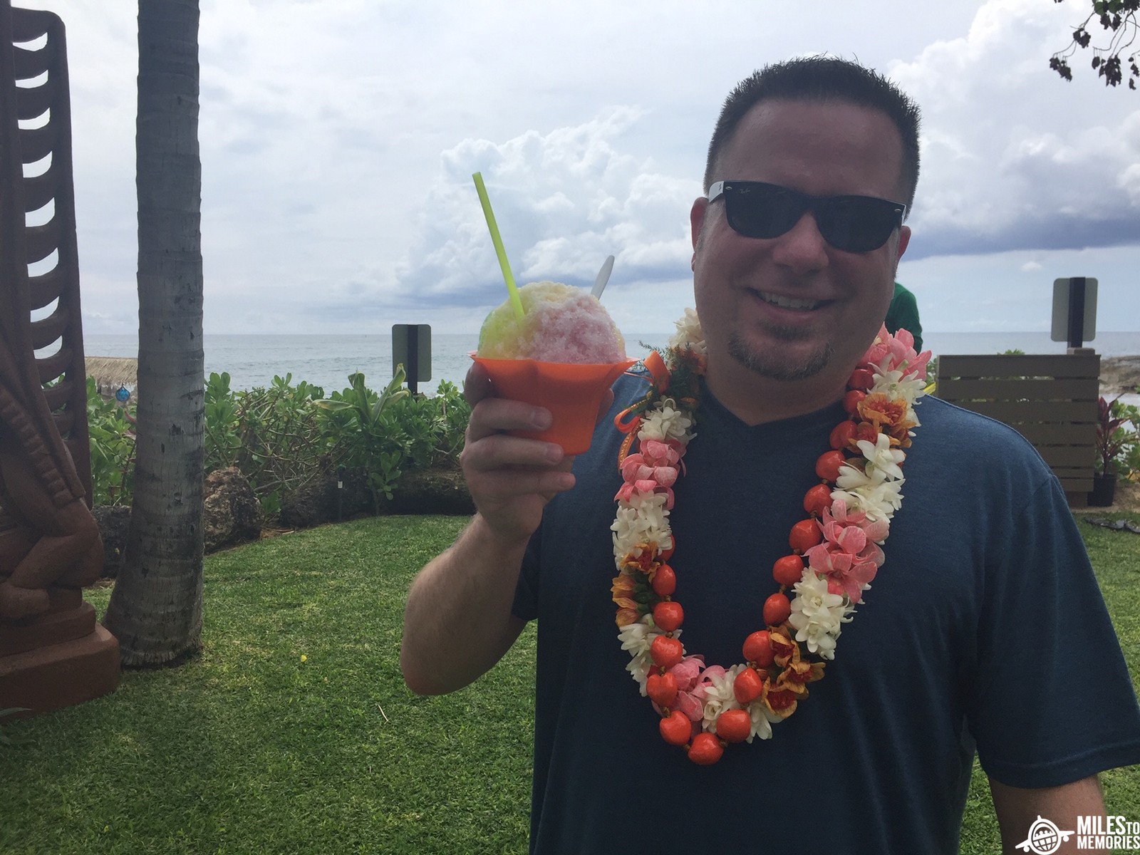 Canceled Our Trip To Maui