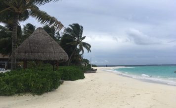 Image of beach and a hut at W Maldives