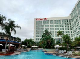 how to find my hilton honors account number