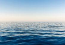 New Class and Three More Ships for Carnival Cruise Line a blue ocean with a clear sky