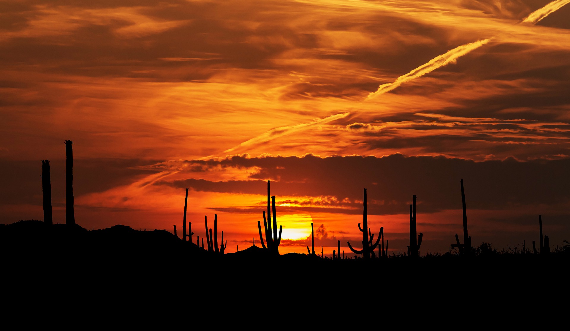 a sunset with a silhouette of a cactus