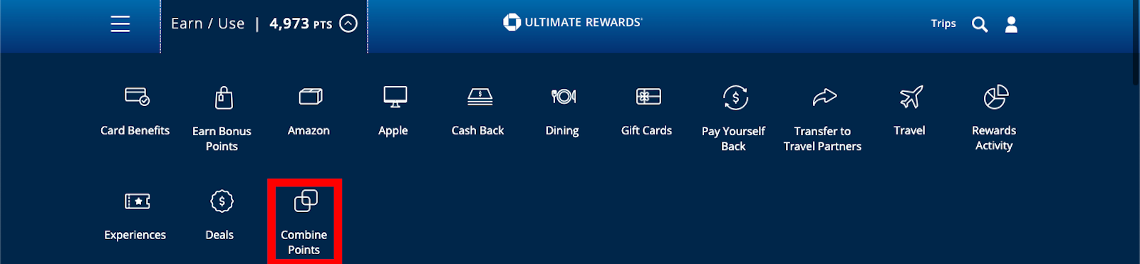 a screenshot of a credit card