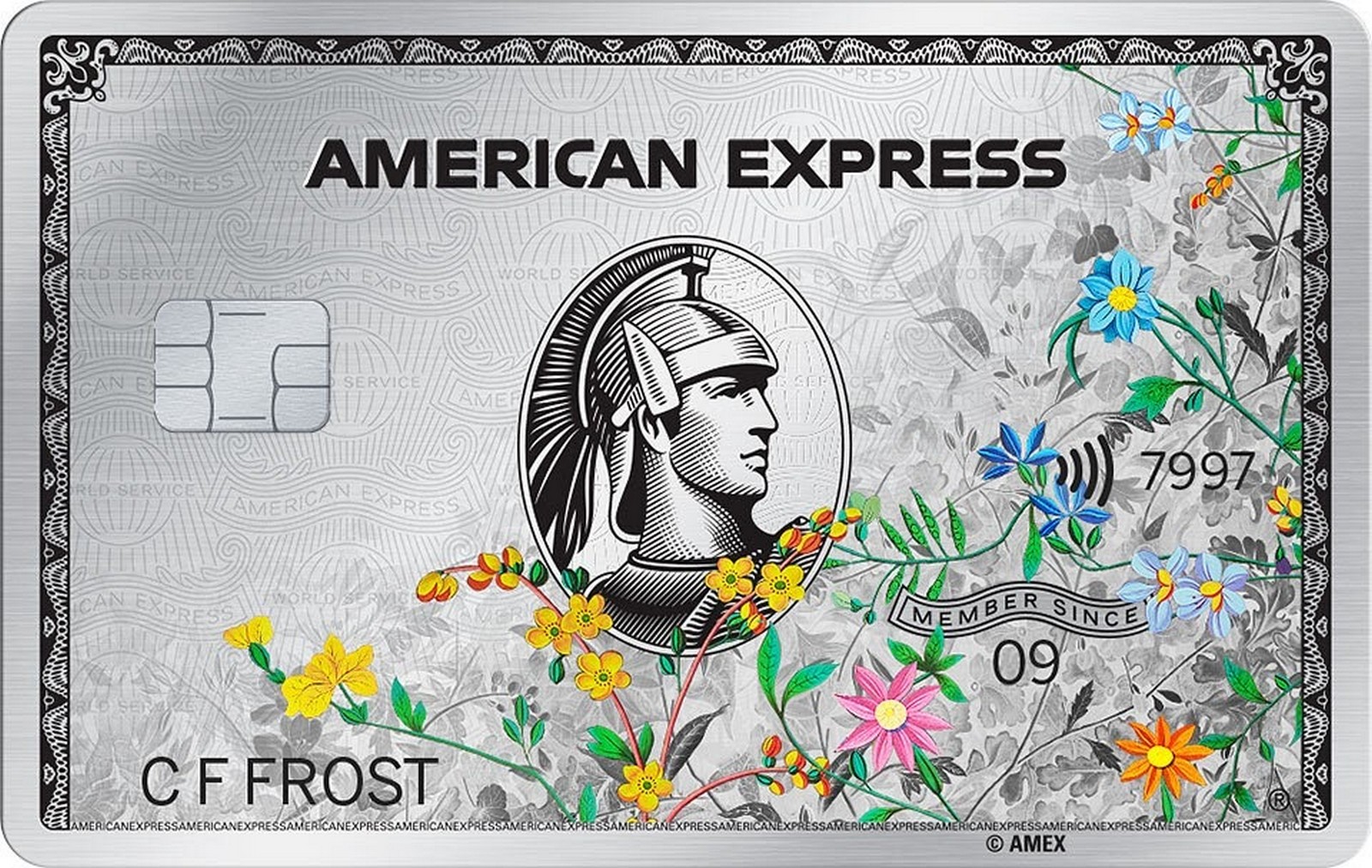 American Express Platinum Metal Card Benefits