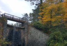 Turkey Day Takes 2025 – What I’m Thankful For This Year