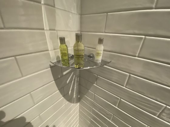 Image of toiletries in shower at DoubleTree by Hilton Dubai M Square