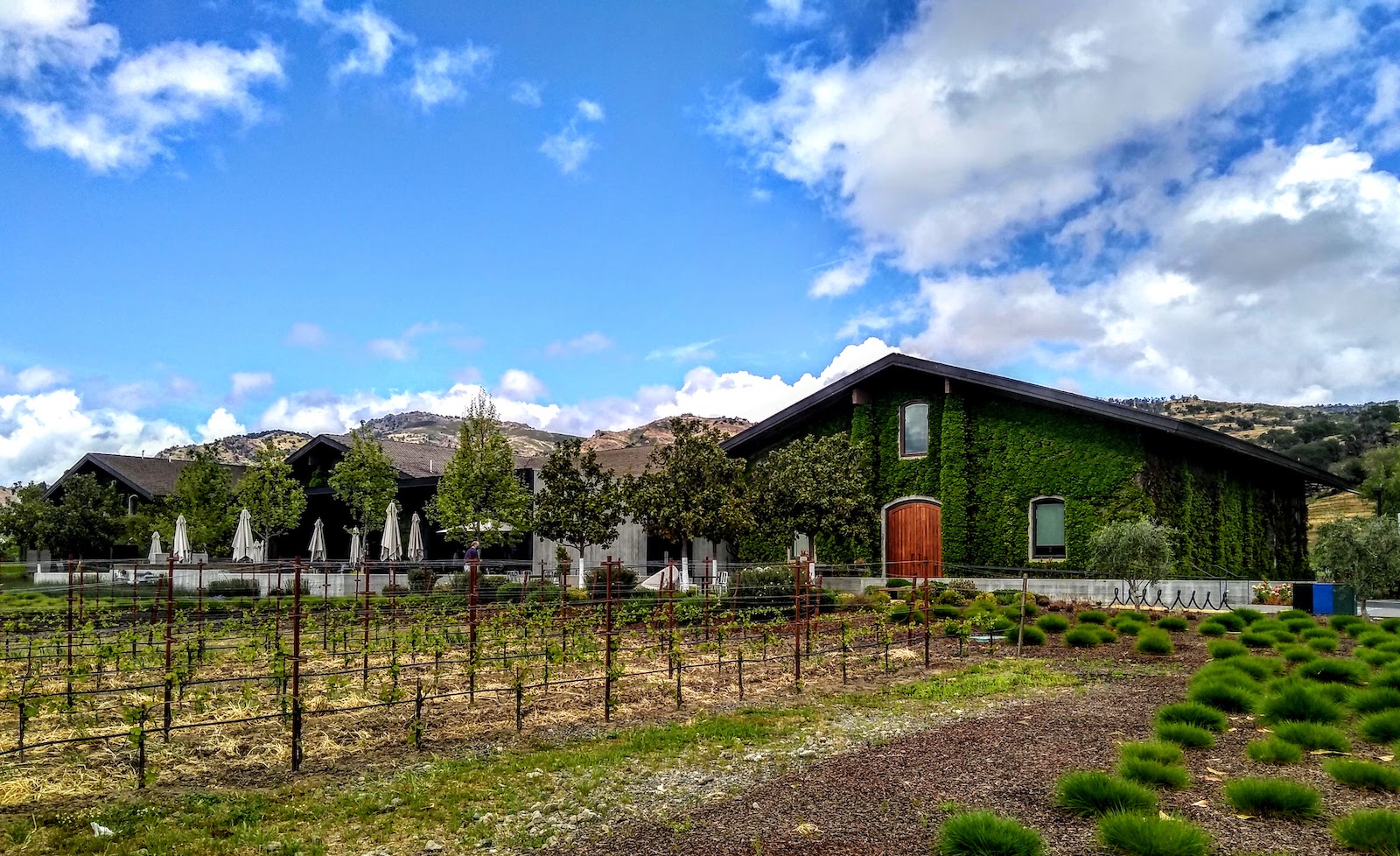 Image shows growing area and buildings at Clos du Val, part of GEMS of Napa Valley