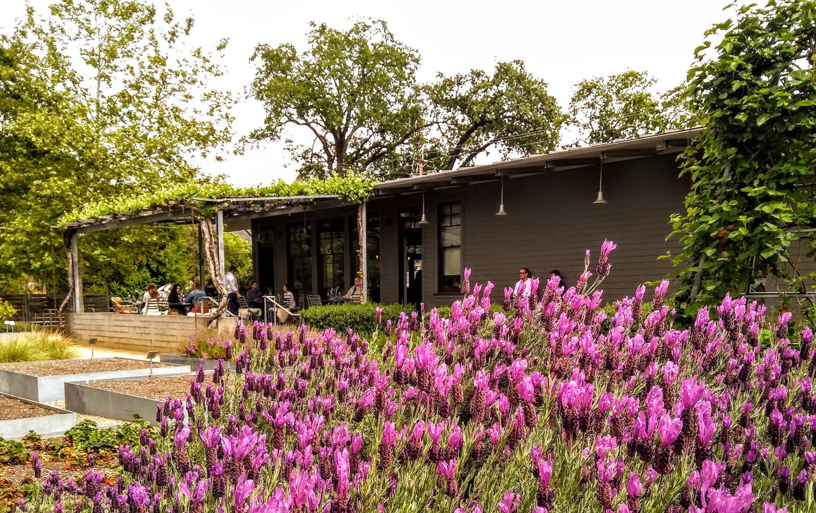 Blooming flowers and an outdoor patio provide the tasting space for Medlock Ames Winery