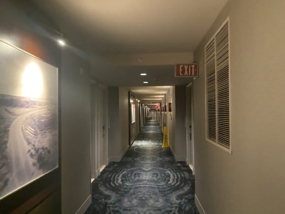 Guest floor hallway, image shows carpeting and artwork