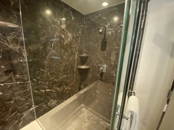 Image of shower in main bathroom