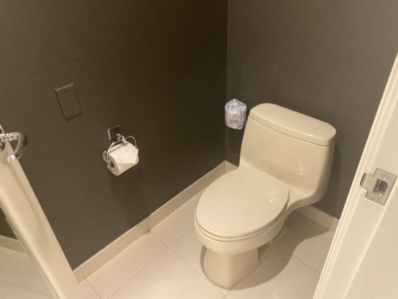 Image of toilet in half bathroom