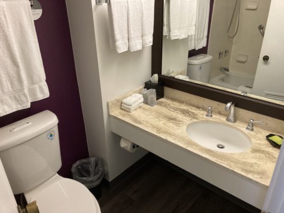 Picture of toilet and sink area in the bathroom