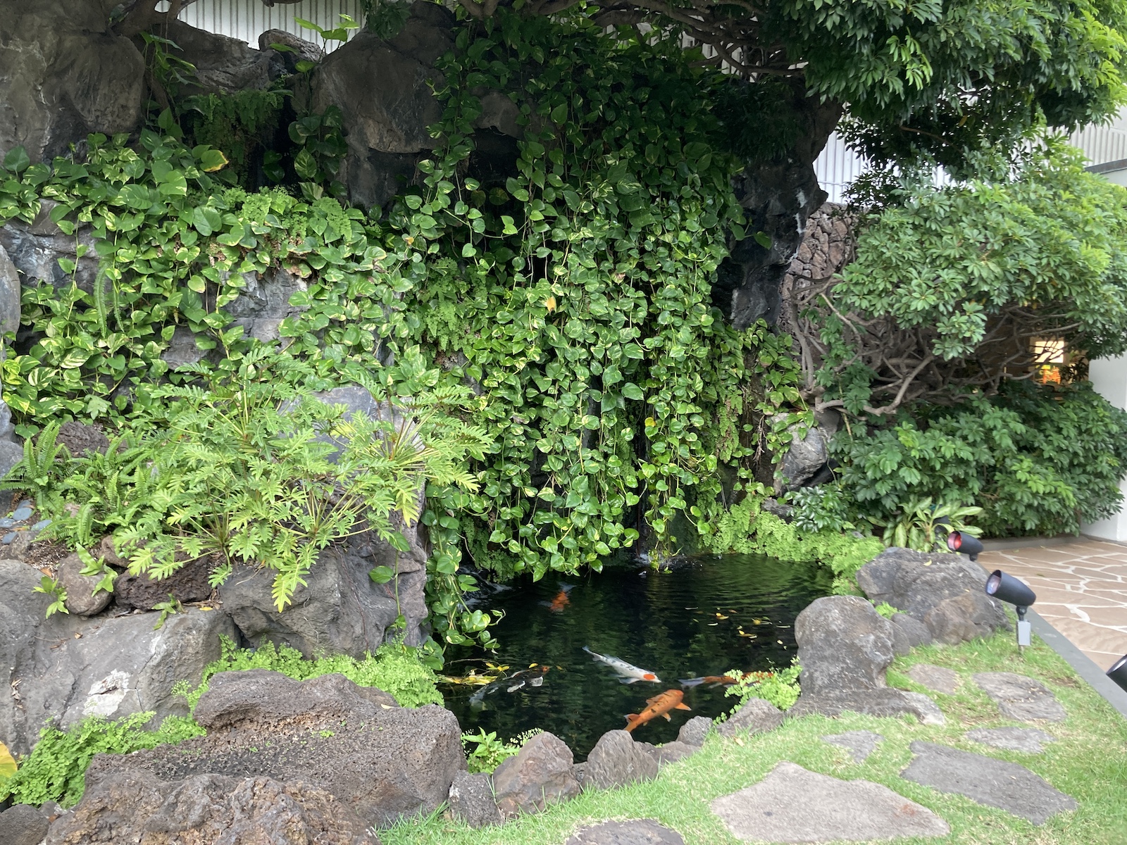 Image of a koi pond at the Sheraton Princess Kaiulani hotel near the check-in area