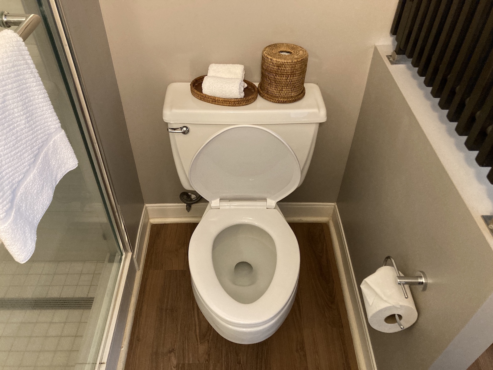Photo of an open toilet