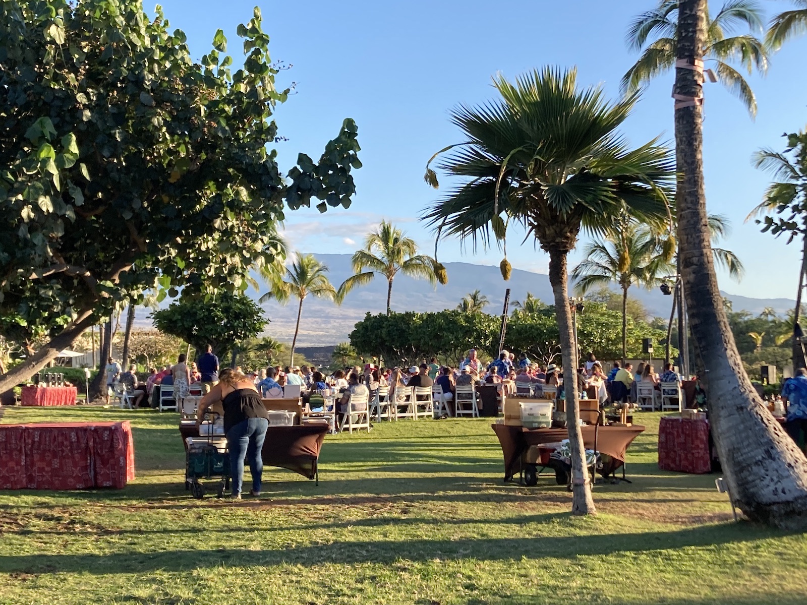 Photo of people eating at large banquet tables in a grassy area of the Waikoloa Beach Marriott Resort Spa, waiting for the sunset luau