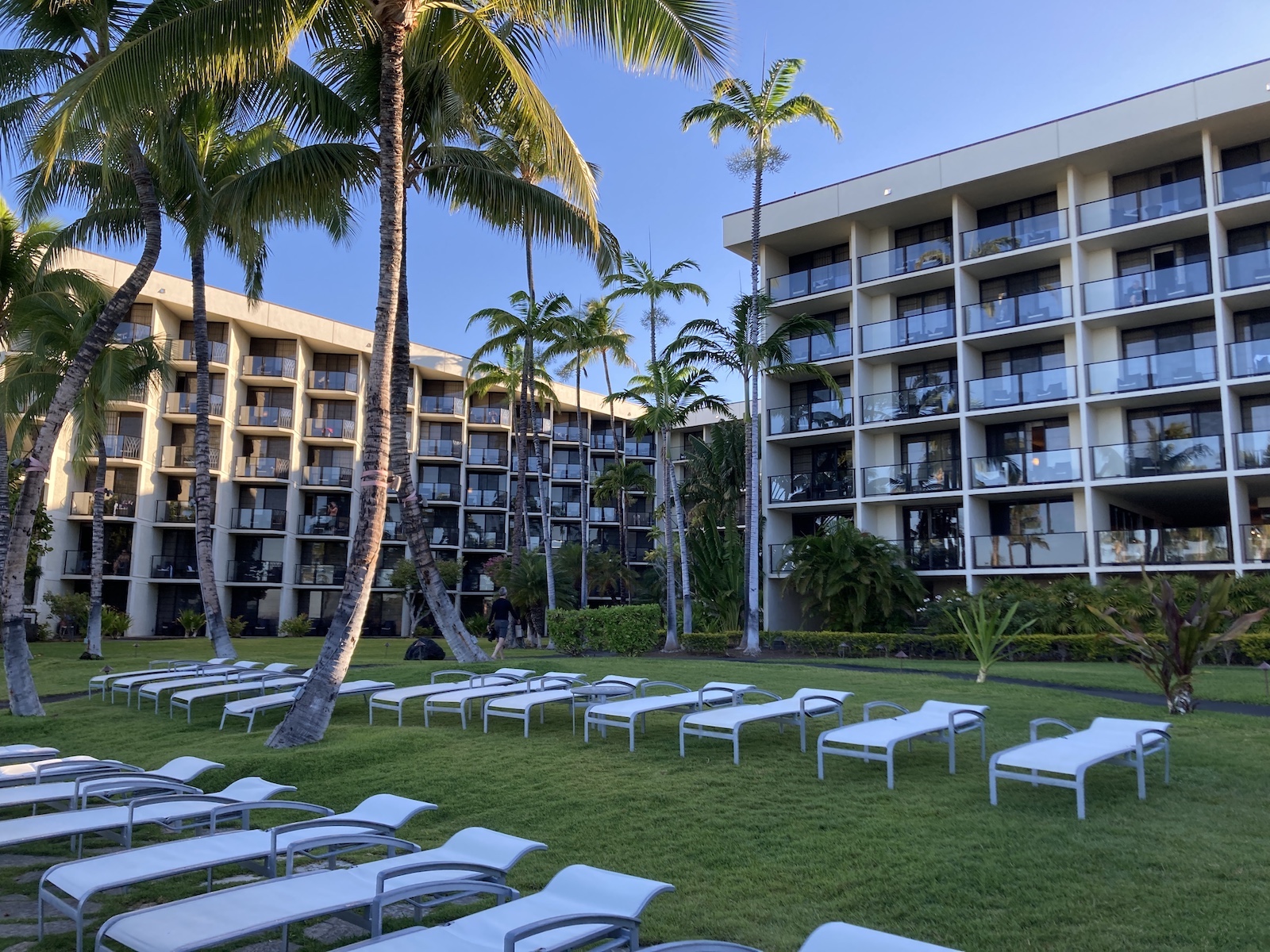 Empty lounge chairs sit in the grass in the foreground with the hotel building in the background