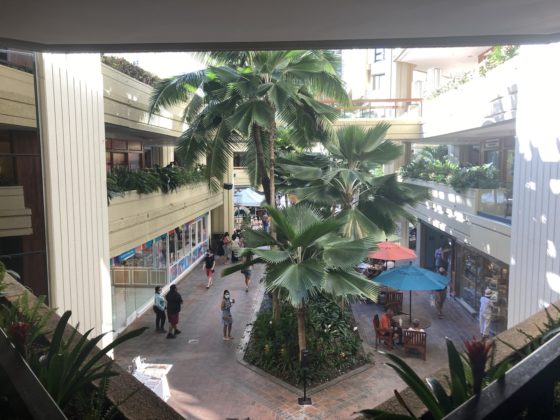 View into the atrium showing shops and trees below