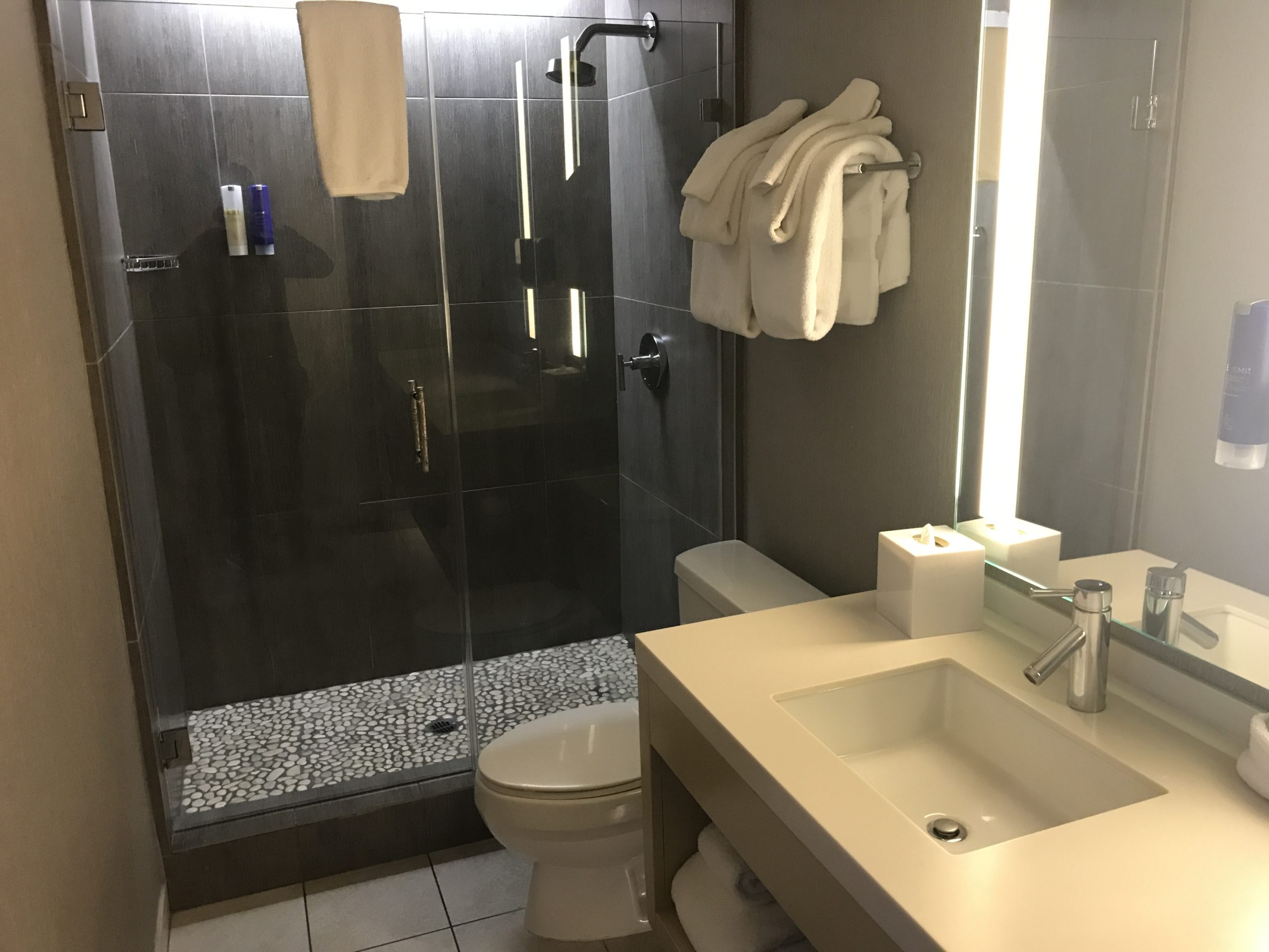 Hotel Paradox Santa Cruz Bathroom