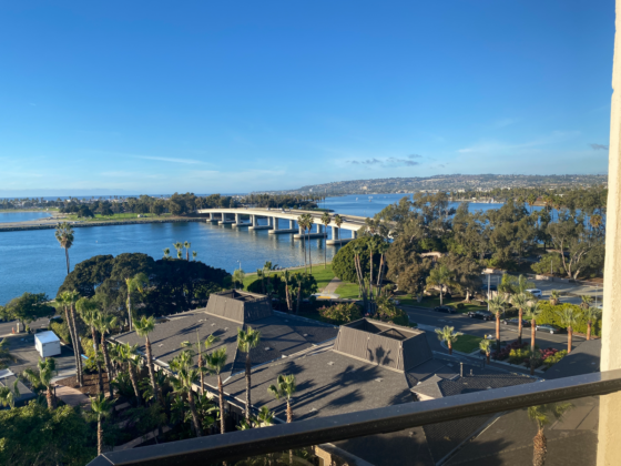 a bridge over water with trees and a bridge in the background