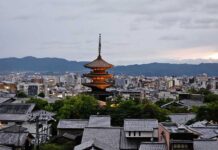Sad Trombone: It Appears Hyatt Is Not Done Breaking Our Hearts a city with a pagoda and trees