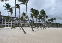 Hyatt Zilara Cap Cana Hotel Review 2023- Stunning Service a group of palm trees on a beach