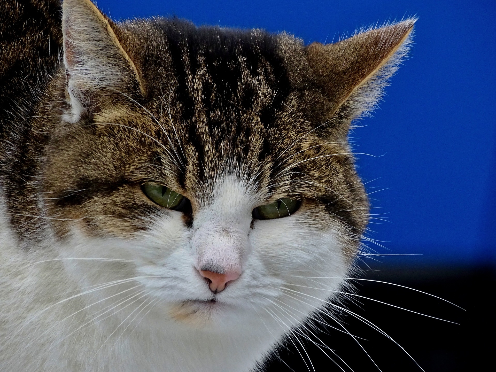 Just Stop! My Three Biggest Travel Pet Peeves Are... Miles to Memories