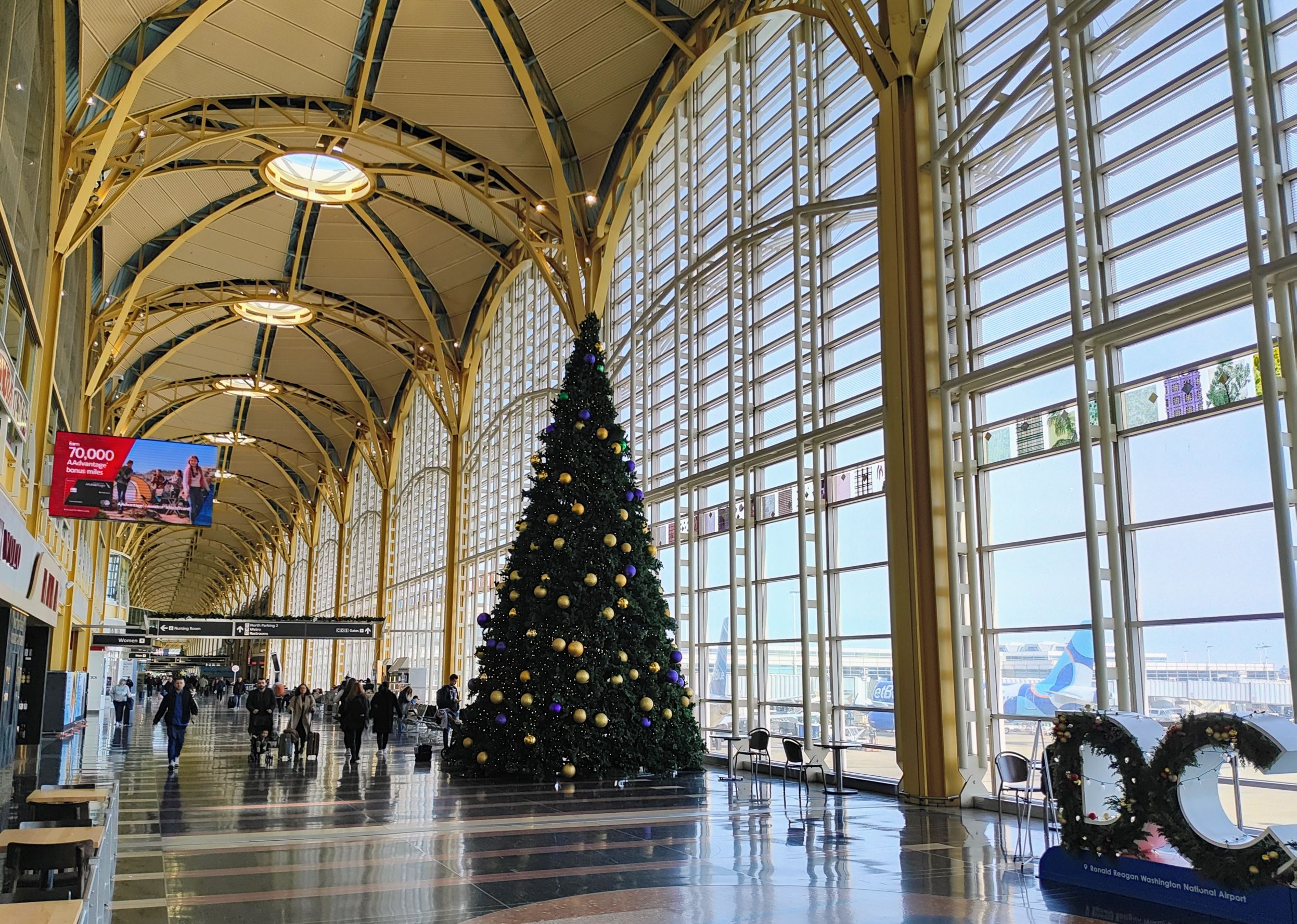 a large building with a christmas tree