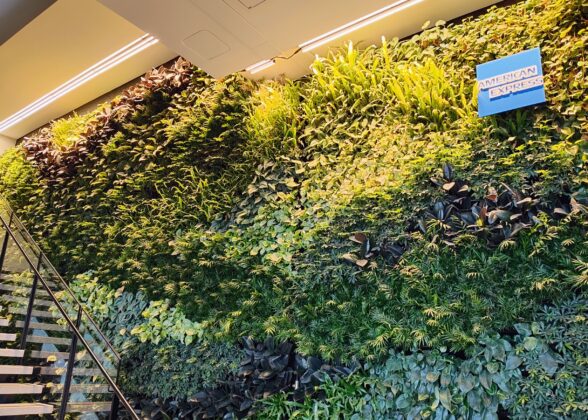 a wall of plants and a staircase