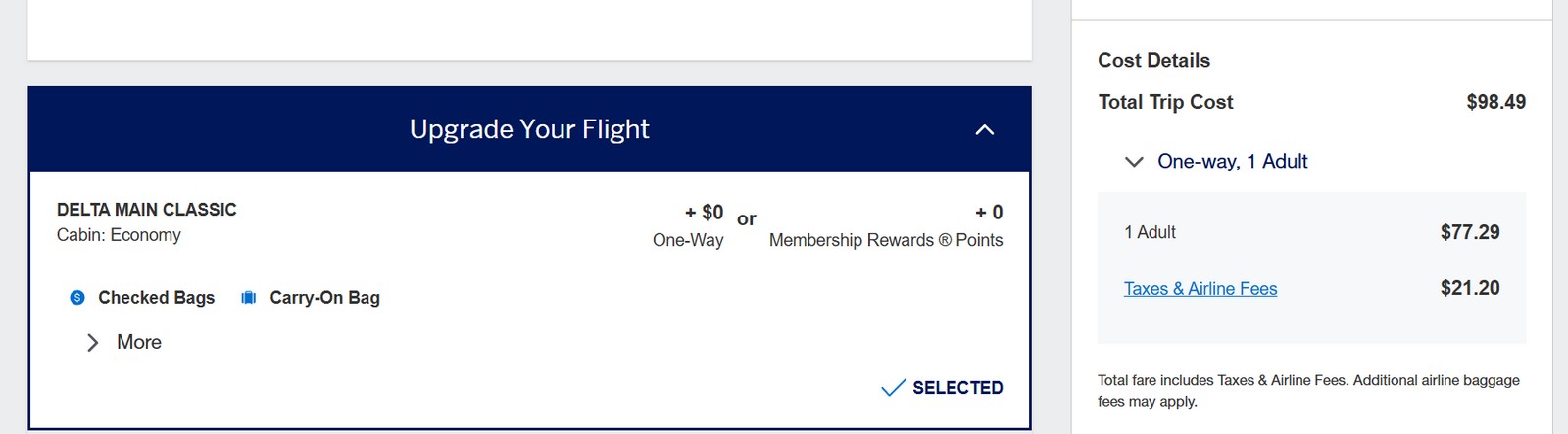 Delta Amex Airline Incidental Credits