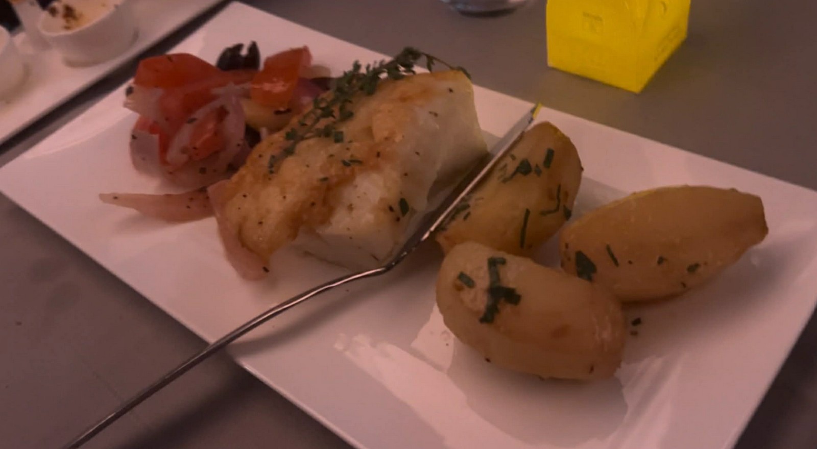 Detroit to Istanbul Business Class Flight Review