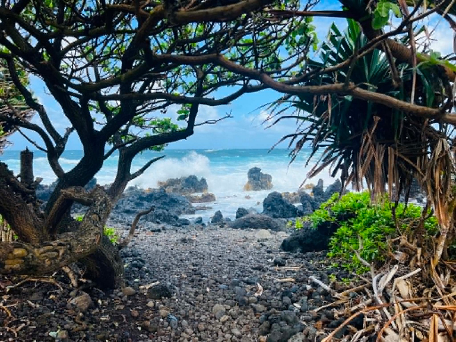 Maui Westin Vacation Club Timeshare Presentation Offer Details