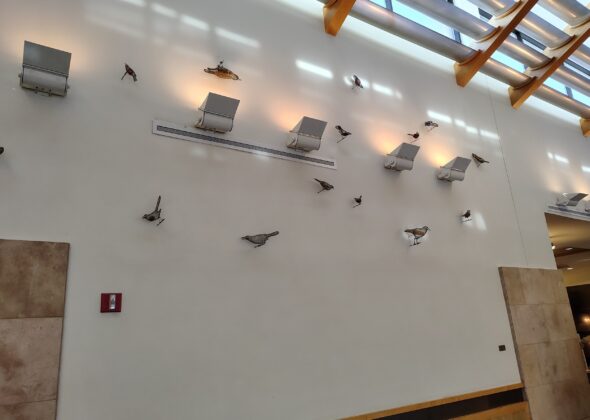 Admirals Club DFW